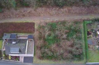 Grundstück zu kaufen in 54470 Lieser, TOP LAGE, DOPPELTE CHANCE ODER AUCH EINZELVERKAUF