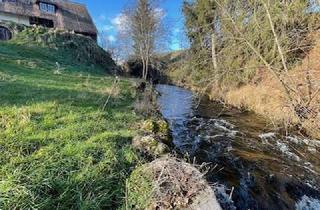 Haus kaufen in 79853 Lenzkirch, Schwarzwaldhof am Bachlauf - 2 Wohnungen, Bauplatz und 1 Hektar Wiese extra !
