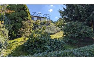 Grundstück zu kaufen in Am Hang, 09221 Neukirchen, Erholungsgrundstück mit Gartenlaube in Adorf/Erzg. zu verkaufen