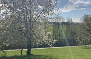 Wohnung mieten in Goldhub, 84568 Pleiskirchen, Helle Oase mit Doppel-Balkon & Fernblick!