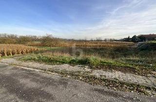 Grundstück zu kaufen in 76706 Dettenheim, TRAUMHAFTES GRUNDSTÜCK IN DER NATUR