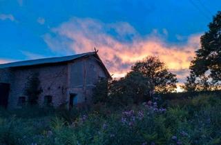 Haus kaufen in 17111 Borrentin, Borrentin - Wunderschöner alter Stall zum Umbau