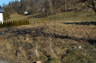 Grundstück zu kaufen in Römerring, 86974 Apfeldorf, Baugrundstück - ohne Bauzwang -