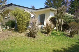 Villa kaufen in 82065 Baierbrunn, Villa mit großem Grundstück in Baierbrunn