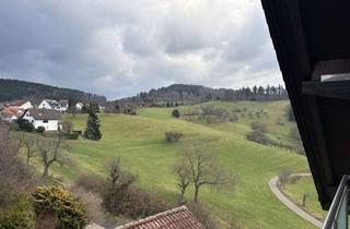 Wohnung mieten in 69469 Weinheim, Renovierte Wohnung im Dachgeschoss mit Balkon und Stellplatz in Weinheim-Rippenweier