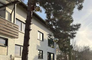 Wohnung mieten in Altengaßweg, 64625 Bensheim, Hochwertige 3,5-Zimmer Wohnung in Bensheim mit Balkon und Garten