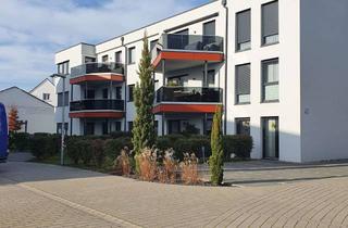 Wohnung mieten in 76761 Rülzheim, Hochwertige 4 Raumwohnung mit EBK und 2 Tiefgaragenstellplätze