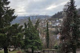 Wohnung mieten in 75417 Mühlacker, Sonnige Wohnung mit Topausstatung und riesiger Südterasse in Traumlage