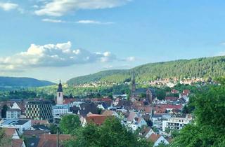 Wohnung mieten in 72202 Nagold, Stilvolle 2,5-Raum-Wohnung mit Traumaussicht und gehobener Innenausstattung