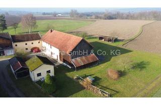 Haus kaufen in 94137 Bayerbach, Landwirtschaftliches Anwesen mit viel Potenzial in ruhiger Weilerlage