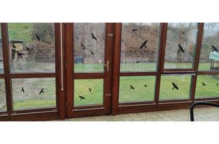 Haus mieten in Finkenstraße 17, 85077 Manching, Gepflegtes Einfamilienhaus (Doppelhaushälfte) in Manching