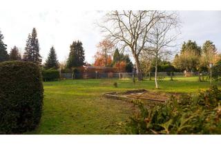 Grundstück zu kaufen in 01465 Langebrück, Großes Freizeitgrundstück an der Dresdner Heide mit Baupotenzial