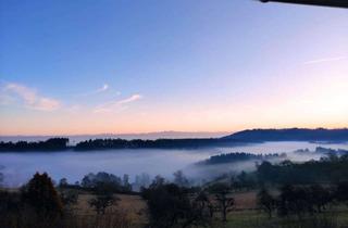 Wohnung mieten in 88696 Owingen, Helle 4-Zimmer Wohnung in Owingen-Taisersdorf