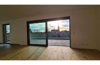 Wohnung mieten in Alte Dorfstraße 15, 59510 Lippetal, Moderne 2-Zimmer-Neubauwohnung mit 29 m² Süd-Dachterrasse – Erstbezug in Herzfeld