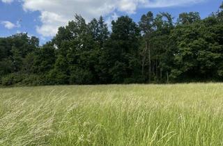 Grundstück zu kaufen in In Der Bornheide 17, 49086 Darum, Einmaliges Juwel in OS-Gretesch, Ihr Logenplatz am Waldrand PROVISIONSFREI