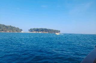 Haus kaufen in 83395 Freilassing, Freilassing - Haus zu verkaufen