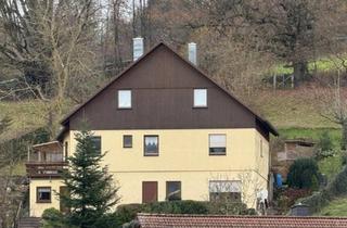 Einfamilienhaus kaufen in 64711 Erbach, Erbach - Einfamilienhaus mit tollem Ausblick