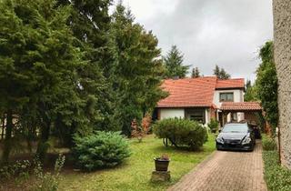 Einfamilienhaus kaufen in 06886 Lutherstadt Wittenberg, Wittenberg Lutherstadt - Idyllisches Domizil für junge Familie Provisionsfrei 06886 Lu WB