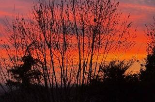 Wohnung kaufen in Piperweg 43, 33813 Oerlinghausen, Ruhige 3-Zimmer Wohnung mit TG und Balkon in Oerlinghausen