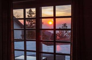 Wohnung mieten in Brandrüttel, 77887 Sasbachwalden, Freundliche 2-Zimmer-Wohnung mit Blick in die Rheinebene in Sasbachwalden