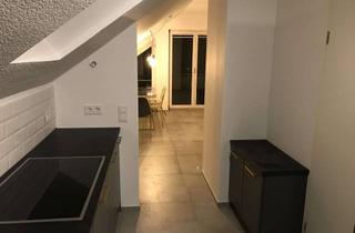 Wohnung mieten in Brühlstrasse 44, 71106 Magstadt, Moderene Dachgeschosswohnung mit 2,5 Zimmern sowie Balkon und EBK in Magstadt