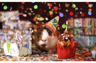 Haus kaufen in 46359 Heiden, Das nächste Silvester in den eigenen vier Wänden - im Fertighaus von Bien-Zenker