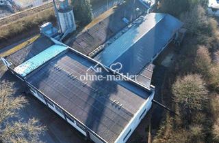 Gewerbeimmobilie kaufen in 58802 Balve, Prdouktions- /Lagerhalle mit Verwaltungsgebäude und Betriebswohnung