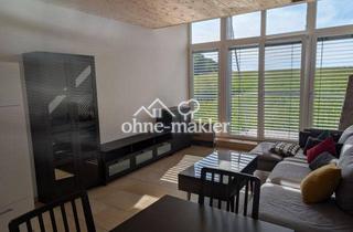 Wohnung mieten in 86558 Hohenwart, Möbliert: pfiffige Maisonettewohnung mit Ausblick bei Pfaffenhofen