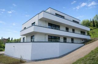 Penthouse mieten in 74196 Neuenstadt, Exklusives Penthouse in Neuenstadt, Panorama Dachterrasse, Aufzug, TG, Neubau, Erstbezug, EH40 QNG