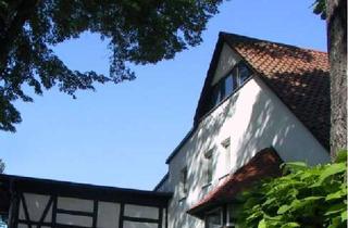 Wohnung mieten in Mühlberg, 39104 Buckau, Individuelle DG-Whg. in ELBNÄHE