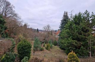 Wohnung mieten in Dammweg 10, 67098 Bad Dürkheim, 2-Zimmer Wohnung mit Balkon in Bad Dürkheim - Seebach