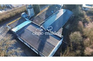 Gewerbeimmobilie kaufen in 58802 Balve, Prdouktions- /Lagerhalle mit Verwaltungsgebäude und Betriebswohnung