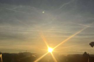 WG-Zimmer mieten in 53619 Rheinbreitbach, Entspannte/Tierfreundliche WG