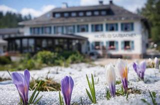 Gewerbeimmobilie kaufen in 76593 Gernsbach, "Hotelanwesen in den Höhenlagen des Schwarzwald-Naturparks"