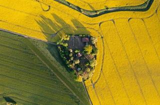 Haus kaufen in 17153 Stavenhagen, Stavenhagen - Ländliches Holzhaus Grundstücksfläche 7.000 m²