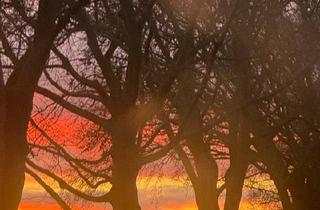 Haus kaufen in 18465 Tribsees, Tribsees - Haus mit Garage nach Sanierung 125m2