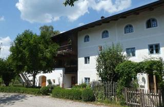 Wohnung mieten in Kirchweg, 83123 Amerang, Modernisierte 2-Zimmer-Wohnung mit Balkon und Einbauküche in Amerang