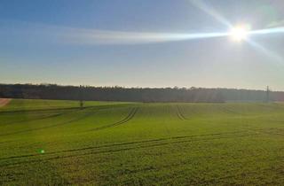 Wohnung mieten in 74912 Kirchardt, Moderne Erdgeschosswohnung mit separatem Eingang