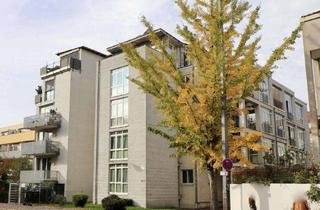 Wohnung mieten in Landgraf-Georg-Straße 136, 64287 Darmstadt, Großzügige 1-Zimmer-Wohnung sucht neuen Mieter!