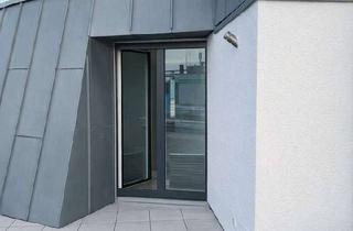 Penthouse mieten in 53359 Rheinbach, Penthouse mit großzügiger Dachterrasse - 2 Zi, EBK, Garagenstellplatz und Aufzug