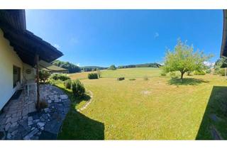 Einfamilienhaus kaufen in 64689 Grasellenbach, Einfamilienhaus (Bungalow) mit Garage in Grasellenbach