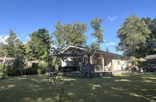 Haus kaufen in Zum Feriengebiet, 49849 Wilsum, Neuwertiger Ferienbungalow möbliert/ 700 qm. / 2 Schlafzimmern mitten in der Natur / Wilsum (D.)