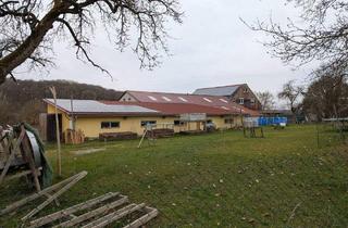 Haus kaufen in 97996 Niederstetten, Niederstetten - Wirklich seltene Gelegenheit für Großfamilie oder Handwerker und auch Investor. Anwesen mit drei Wohnungen, Hobbyraum und großer Halle.