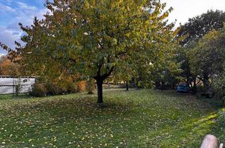 Einfamilienhaus kaufen in 06917 Jessen, Jessen (Elster) - Charmantes Haus im Grünen - ideal für Handwerker & Selbstverwirkl