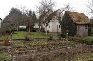 Einfamilienhaus kaufen in 32699 Extertal, Extertal - Stilvolles Haus mit Garten - ganzjährig, 70 km von Hannover