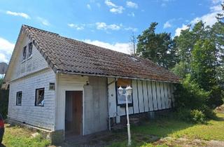 Haus kaufen in 38524 Sassenburg, Sassenburg - ca. 800m2 Grundstück mit altem Haus etc. Sanierungsbedürftig