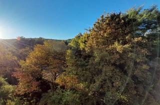 Wohnung kaufen in 66133 Saarbrücken, Saarbrücken - 1-Zimmer Appartement mit Blick ins Grüne