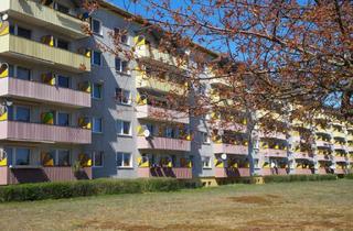 Wohnung mieten in Kopernikusring 44, 16227 Eberswalde, Wohnen mit Wohlfühlcharakter: Charmante Wohnung im Grünen