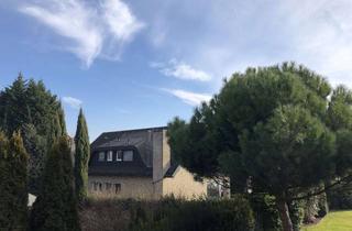 Haus mieten in 67269 Grünstadt, Freistehendes, sehr hochwertig ausgestattetes Haus in Grünstadt in gesuchter Lage