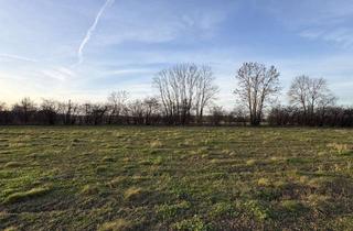 Grundstück zu kaufen in 32839 Steinheim, Baugrundstücke in Steinheim-Eichholz